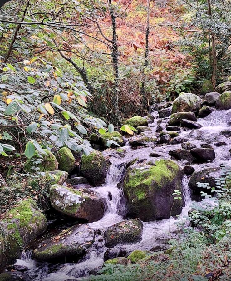 Woodbriar Bed and Breakfast Penmaen-mawr Εξωτερικό φωτογραφία