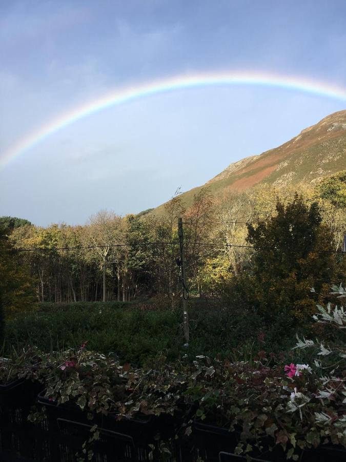 Woodbriar Bed and Breakfast Penmaen-mawr Εξωτερικό φωτογραφία