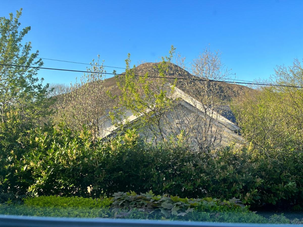 Woodbriar Bed and Breakfast Penmaen-mawr Εξωτερικό φωτογραφία